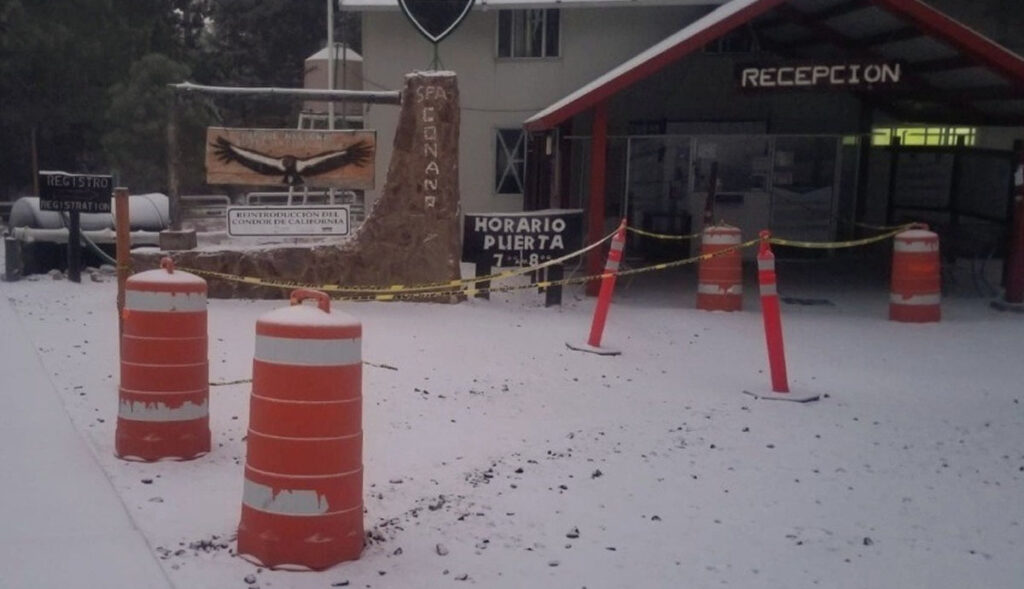 Mantienen-nevadas-intensas-cierre-del-parque-de-San-Pedro-Mártir