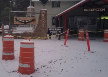 MANTIENEN NEVADAS INTENSAS CIERRE DEL PARQUE DE SAN PEDRO MáRTIR