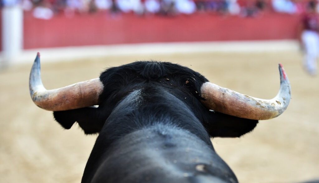 Comisiones-aprueban-prohibir-corridas-de-toros