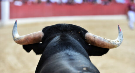 Comisiones aprueban prohibir corridas de toros