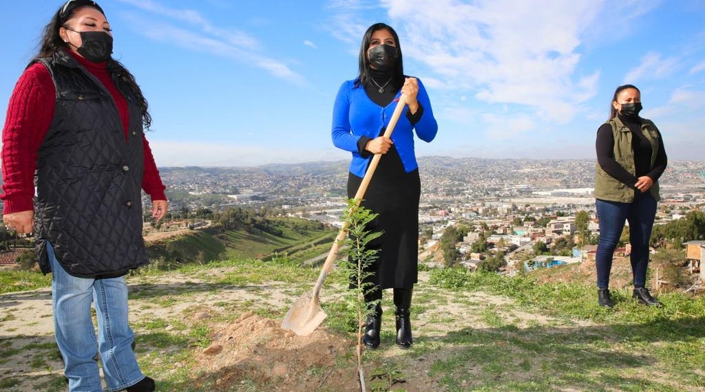 ALCALDESA COMPARTE SEMBRANDO VIDA EN CERRO COLORADO