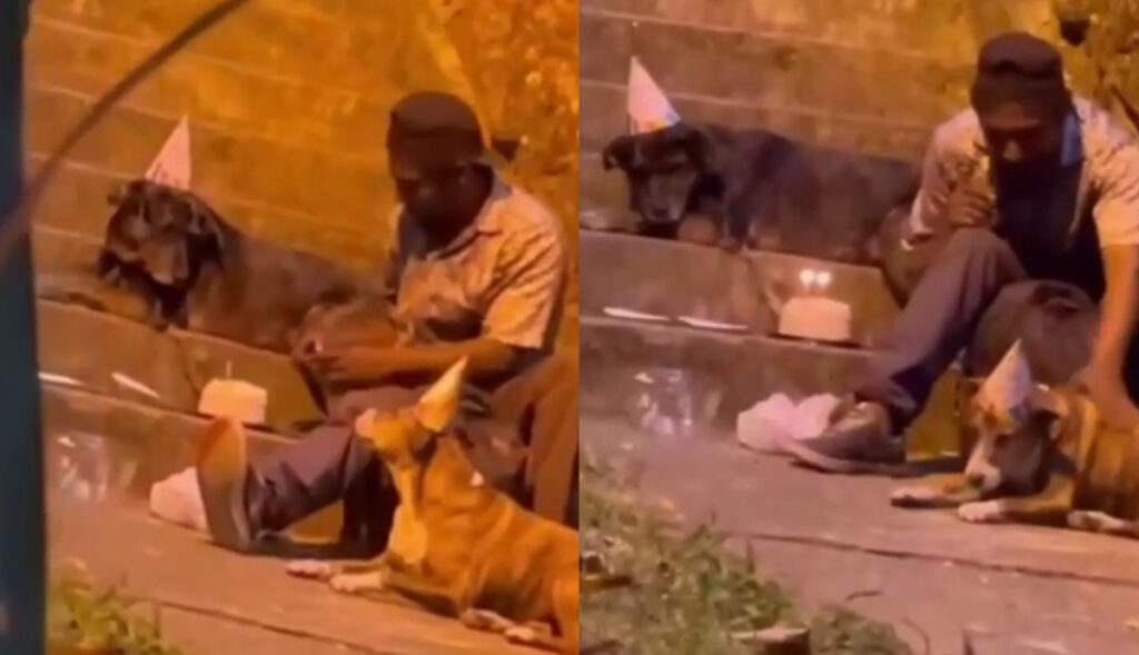 VIDEO- Hombre-en-situación-de-calle-celebra-cumpleaños-de-uno-de-sus-perritos