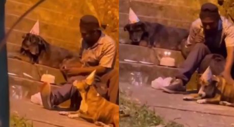 VIDEO: Hombre en situación de calle celebra cumpleaños de uno de sus perritos