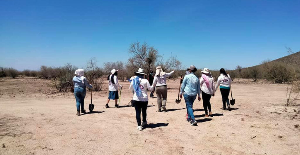 Líder-de-colectivos-de-búsqueda-pide-tregua-a-carteles