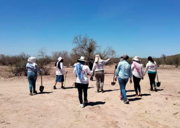 LíDER DE COLECTIVOS DE BúSQUEDA PIDE TREGUA A CARTELES