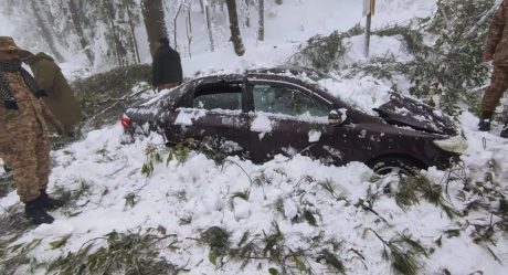 Fallecen decenas de personas atrapadas en sus autos tras tormenta de nieve