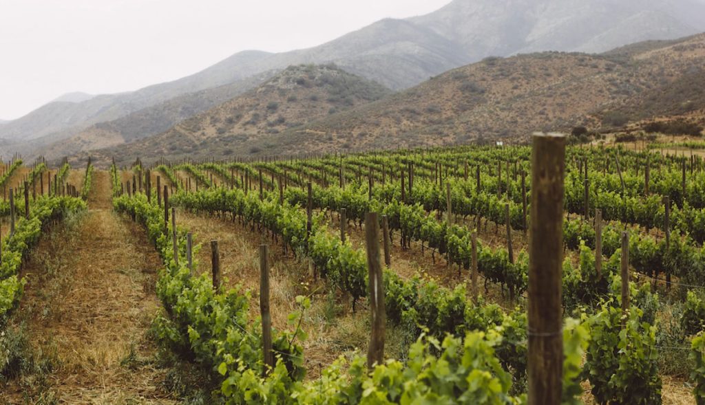 Desarrollarán-soluciones-para-el-ordenamiento-de-Valle-de-Guadalupe