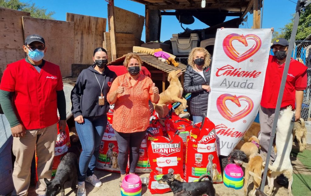 CALIENTE AYUDA DONA ALIMENTO A REFUGIO PARA PERROS