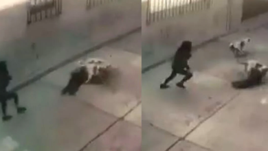 VIDEO-Nina-de-tres-anos-fue-atacada-por-dos-perros