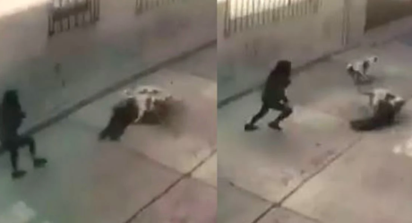 VIDEO: Niña de tres años fue atacada por dos perros