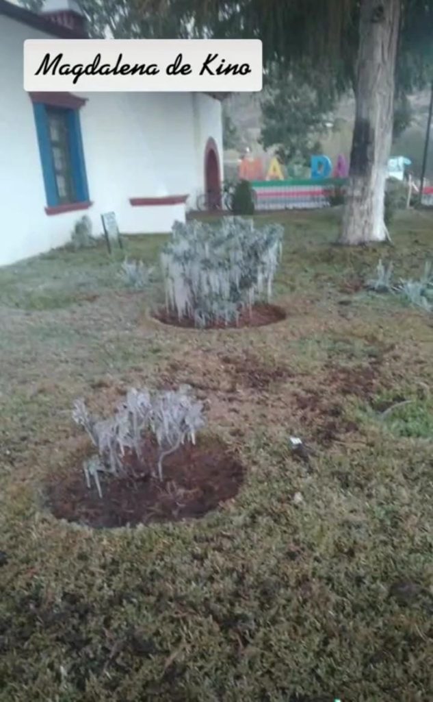 SE CONGELA SONORA, -5 GRADOS SE REGISTRARON EN CANANEA