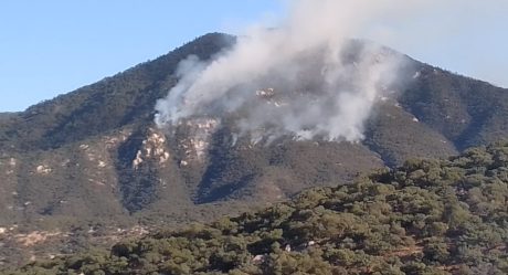 Afecta incendio forestal sierra alta de Aconchi