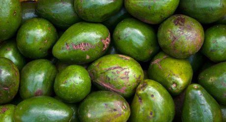 México garantiza medidas para reactivar la exportación de aguacate a EU