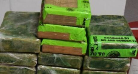 Decomisan en garitas millonario cargamento de cocaína