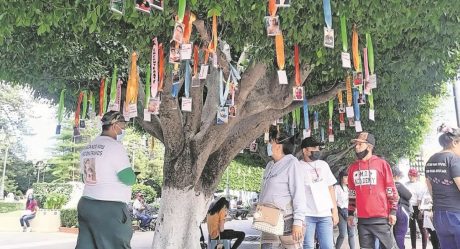 Hallan familiares de desaparecidos 14 cuerpos en fosas clandestinas