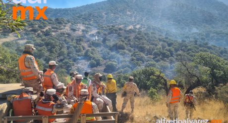 Controlan 70 por ciento del incendio forestal en Aconchi