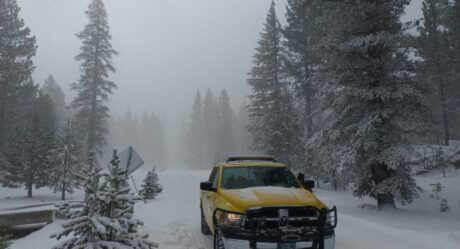 Se mantendrá cerrado el acceso al Parque Nacional Sierra de San Pedro Mártir