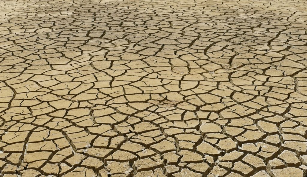 Gran-sequía-dejaría-a-13-millones-de-personas-en-riesgo-de-hambre-severa
