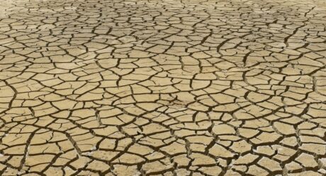 Gran sequía dejaría a 13 millones de personas en riesgo de hambre severa