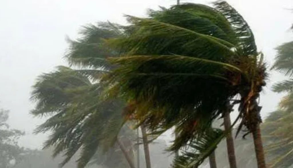 Continuarán-en-BC-fuertes-vientos-tolvaneras-y-heladas