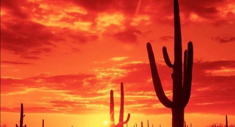 El desierto de Sonora, el lugar más caliente de la tierra: NASA