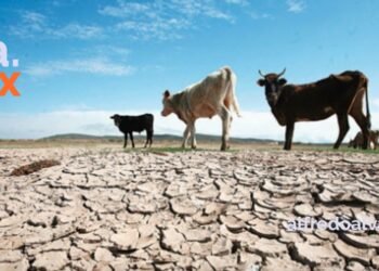 PIDE OOMAPAS CUIDAR EL AGUA POR SEQUíA EN NOGALES