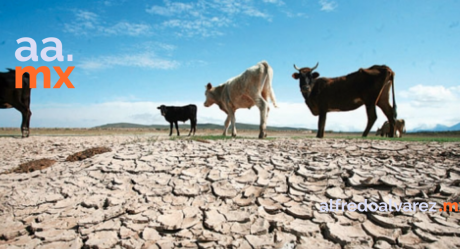 Pide Oomapas cuidar el agua por sequía en Nogales
