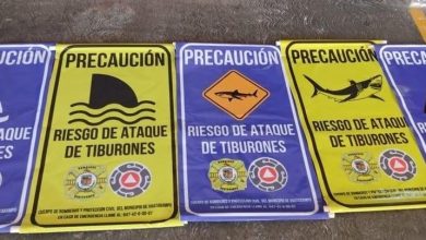 ¡Alerta!-Tiburones-en-playas-de-Huatabampo-advierte-UMPC