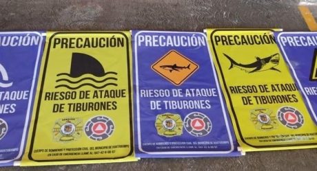 ¡Alerta! Tiburones en playas de Huatabampo advierte UMPC