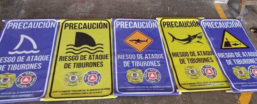 ¡Alerta!-Tiburones-en-playas-de-Huatabampo-advierte-UMPC