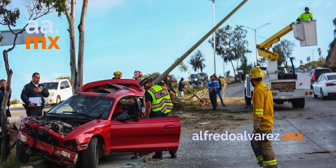 CONDUCTOR DE MUSTANG SE ESTAMPA CON áRBOL Y POSTE, LUEGO HUYE