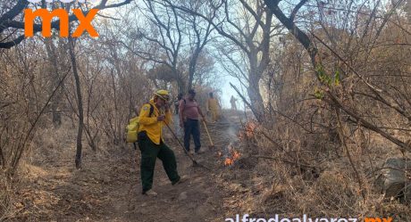 Incendio forestal de Álamos el más devastador en 20 años