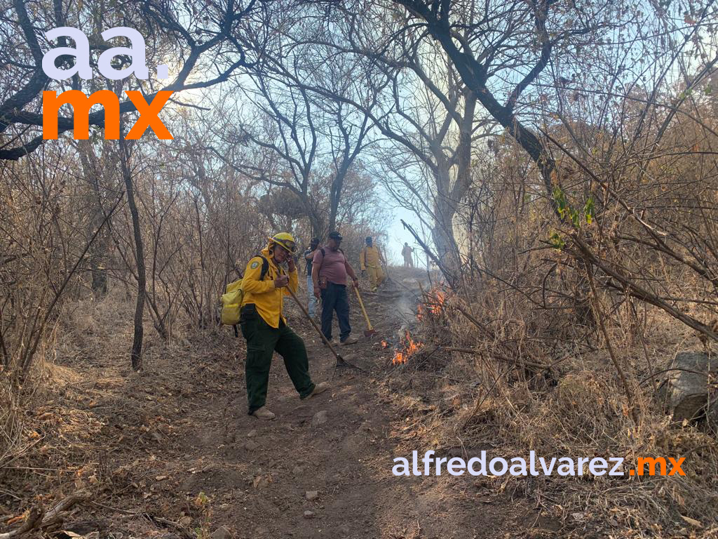 Incendio-forestal-de-Álamos-el-más-devastador-en-20-años