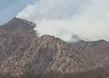 TRATAN DE CONTROLAR DEVASTADOR INCENDIO FORESTAL EN ÁLAMOS