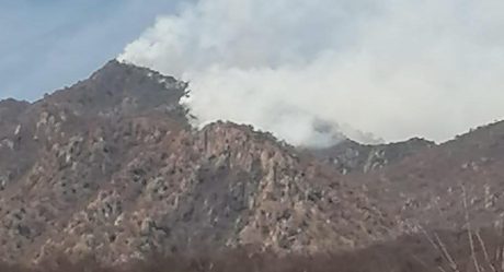 Tratan de controlar devastador incendio forestal en Álamos