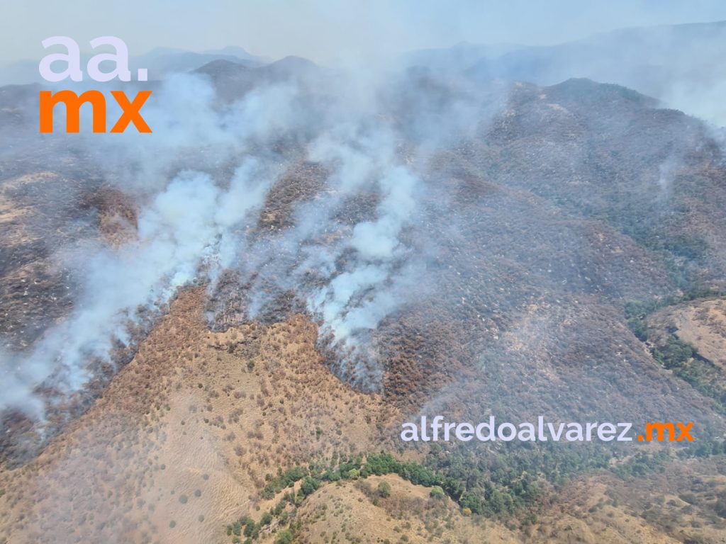 Incendio-forestal-en-Sahuaripa-devastará-más -ue-en-Álamos