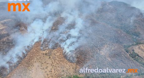 Incendio forestal en Sahuaripa devastará más que el de Álamos