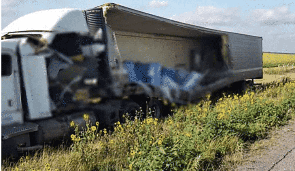 Hallan-toneladas-de-perros-gatos-muertos-trailer-accidentado