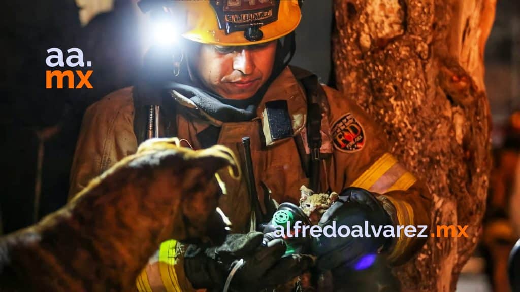 FUERTE INCENDIO DEJA SIN HOGAR CINCO FAMILIAS