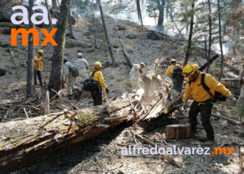 GANAN TERRENO BRIGADISTAS A INCENDIO FORESTAL DE SAHUARIPA