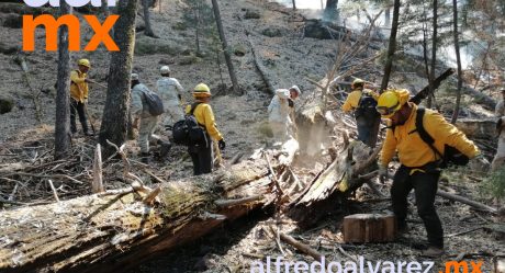 Ganan terreno brigadistas a incendio forestal de Sahuaripa