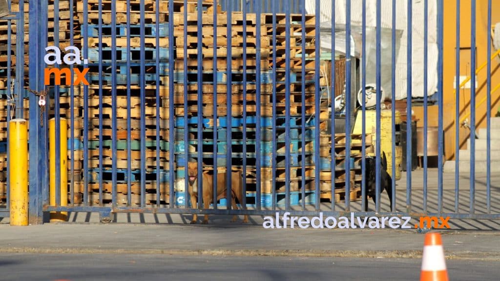 DECOMISAN MáS DE 800 MIL DOSIS DE DROGA Y CUSTODIAN BODEGA