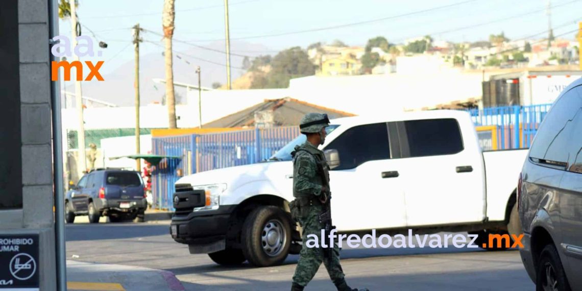 DECOMISAN MáS DE 800 MIL DOSIS DE DROGA Y CUSTODIAN BODEGA