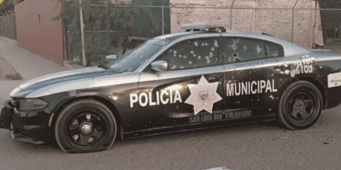 DIEZ POLICíAS HAN PERDIDO LA VIDA EN SONORA DURANTE EL 2022