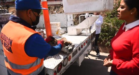 DSPM repara e instala más de 9 mil luminarias en Tijuana