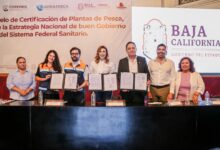 Cofepris-gobierno-Baja-California-acuerdan-estrategias-innovacion-regulatoria