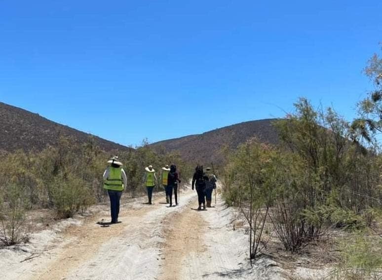 Postulan-8-aspirarntes-para-la-Comision-de-Busqueda-BC