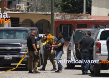 DECOMISAN 300 KG DE MARIHUANA EN TIJUANA