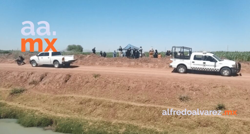 COLECTIVOS LOCALIZAN NUEVE CUERPOS EN DOS DíAS EN CABORCA