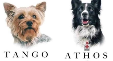 Condenan a sujeto por asesinar a perros rescatistas Athos y Tango